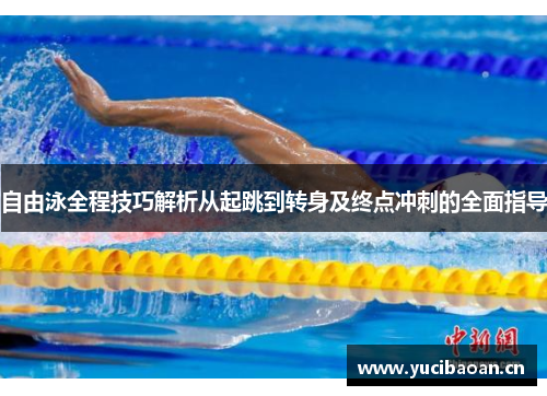 自由泳全程技巧解析从起跳到转身及终点冲刺的全面指导