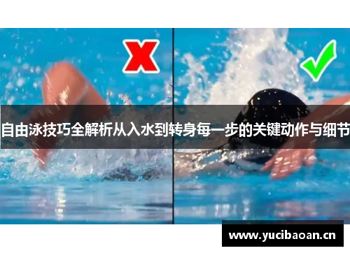 自由泳技巧全解析从入水到转身每一步的关键动作与细节
