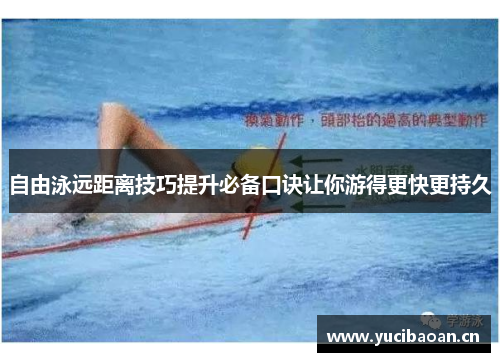 自由泳远距离技巧提升必备口诀让你游得更快更持久