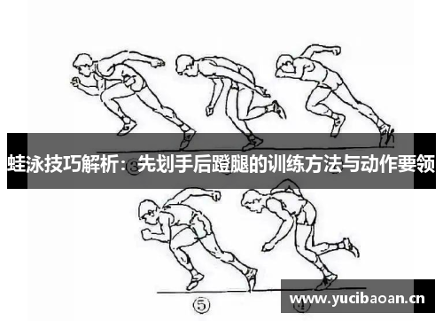 蛙泳技巧解析：先划手后蹬腿的训练方法与动作要领